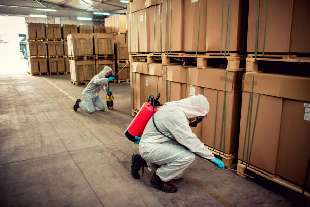 Best Flea Control Services  in Newburg, WI