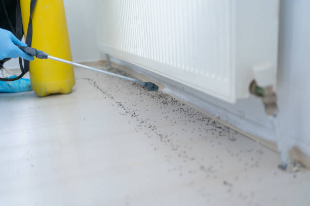 Professional Pest Control in Newburg, WI