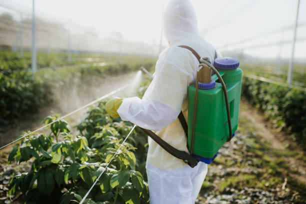 Best Residential Pest Control  in Newburg, WI